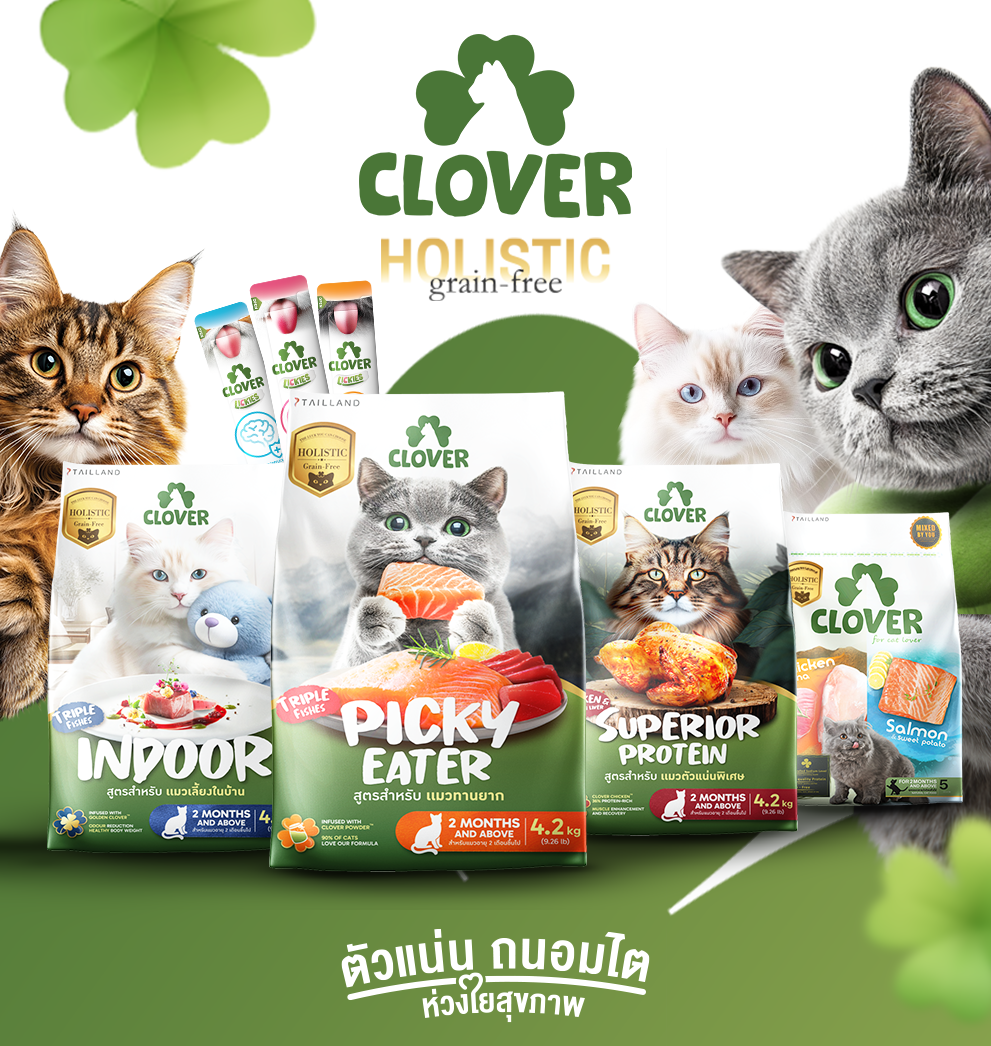 Cat Products
